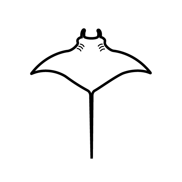 Oct 12, 2021 · eep south cartel: Boat Tours Kona Kona Snorkeling Sailing Kona Style