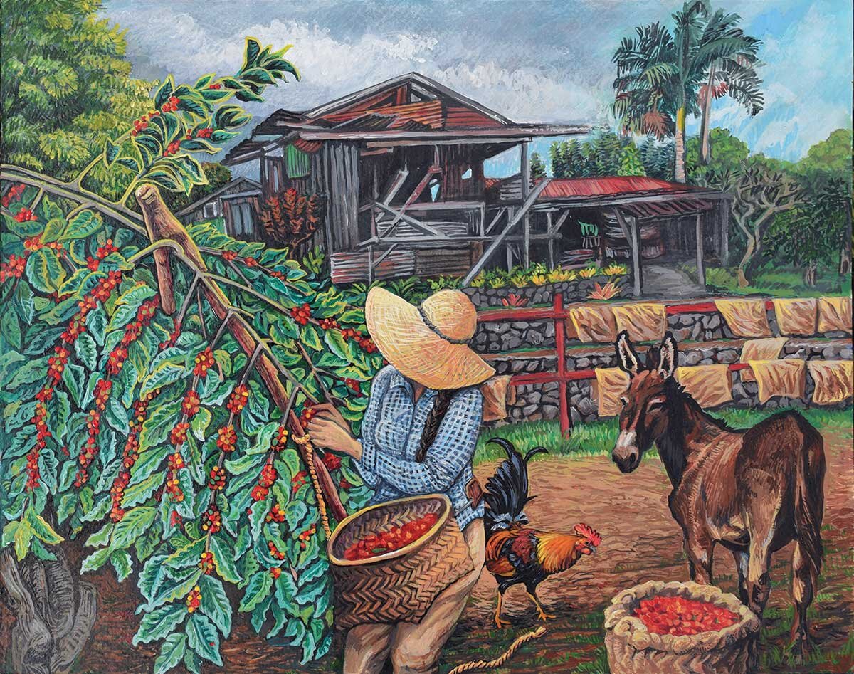 That is, our coffee is pure kona coffee and not mixed with beans from outside of kona. History Of The Kona Coffee Cultural Festival Kona Coffee And Tea Company