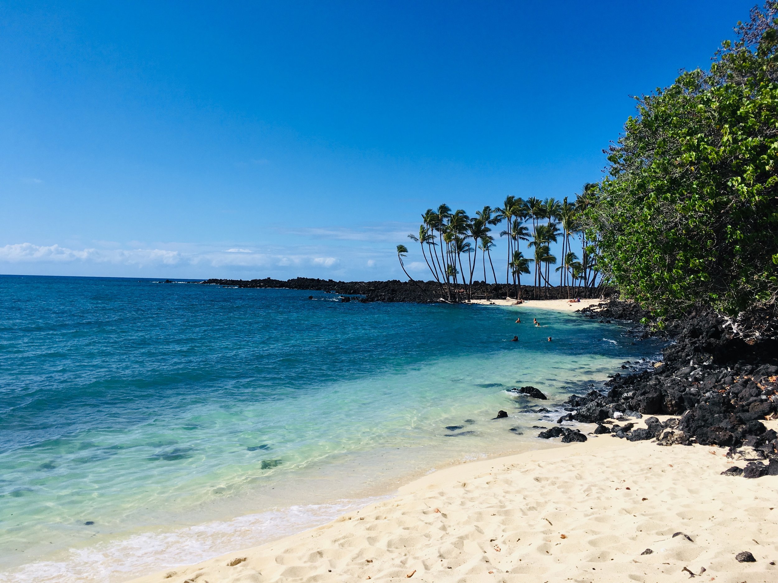 The perfect beginner snorkeling beach. Best Kona Beaches My Hawaii Hostel