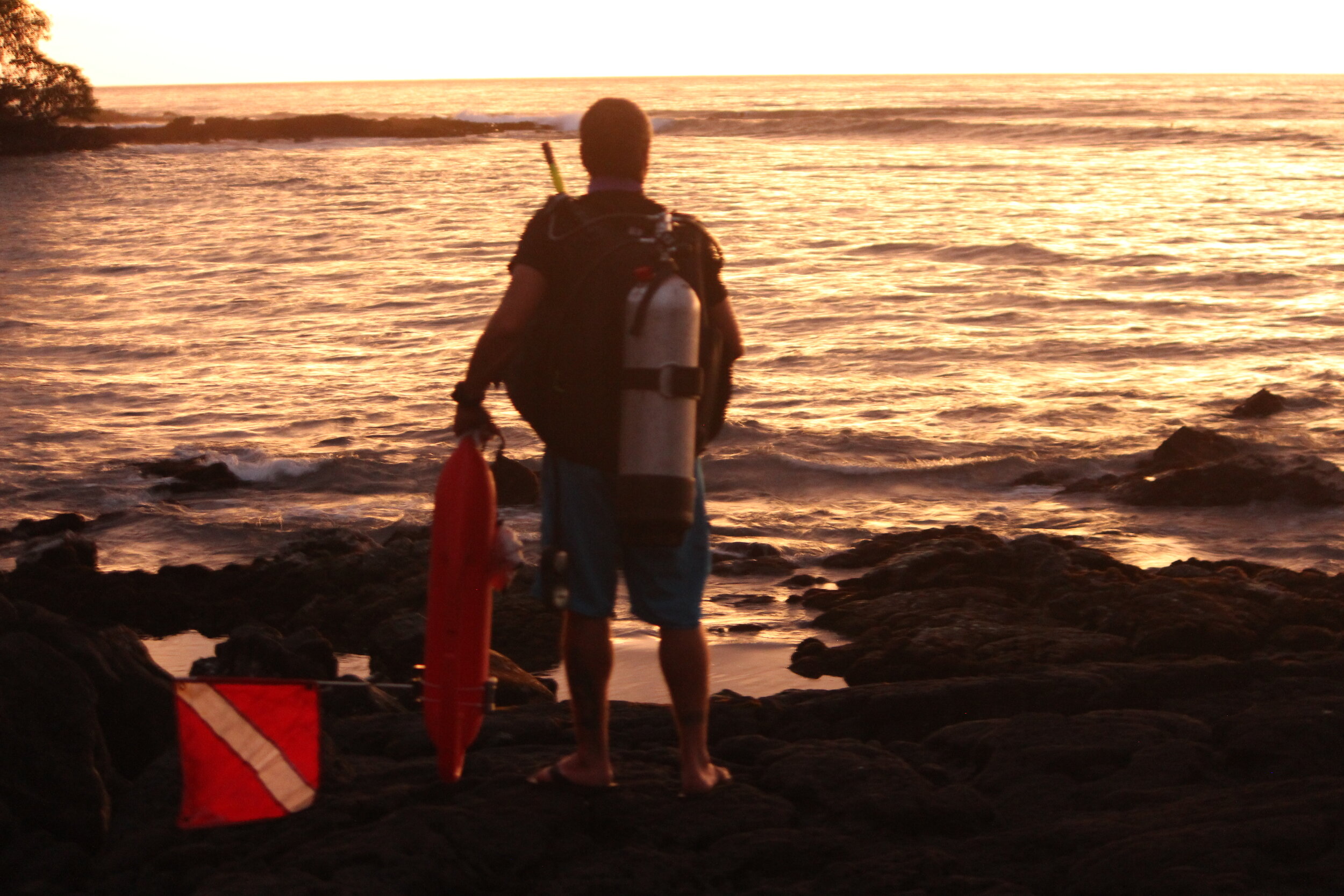 C big island tours is now offering manta ray snorkel, dolphin reef. Kona Shore Divers Scuba Diving Tour Company Kona Hawaii