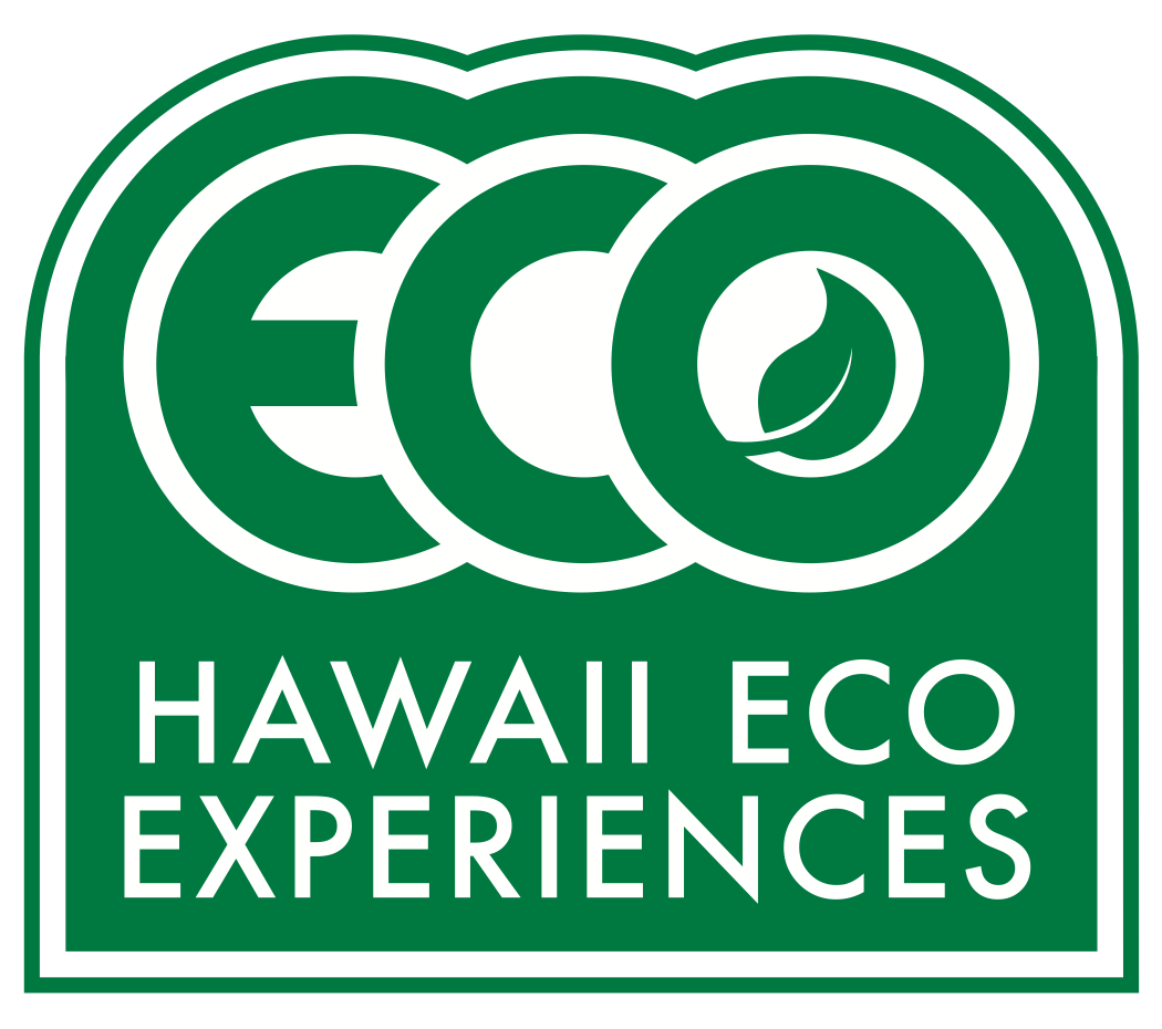 Say a big aloha to hawaii's big island in a town that not only ticks all the boxes for a tropical getaway, but also harbors an intriguing history of its own . Home Hawaii Eco Experience Hilo Hi