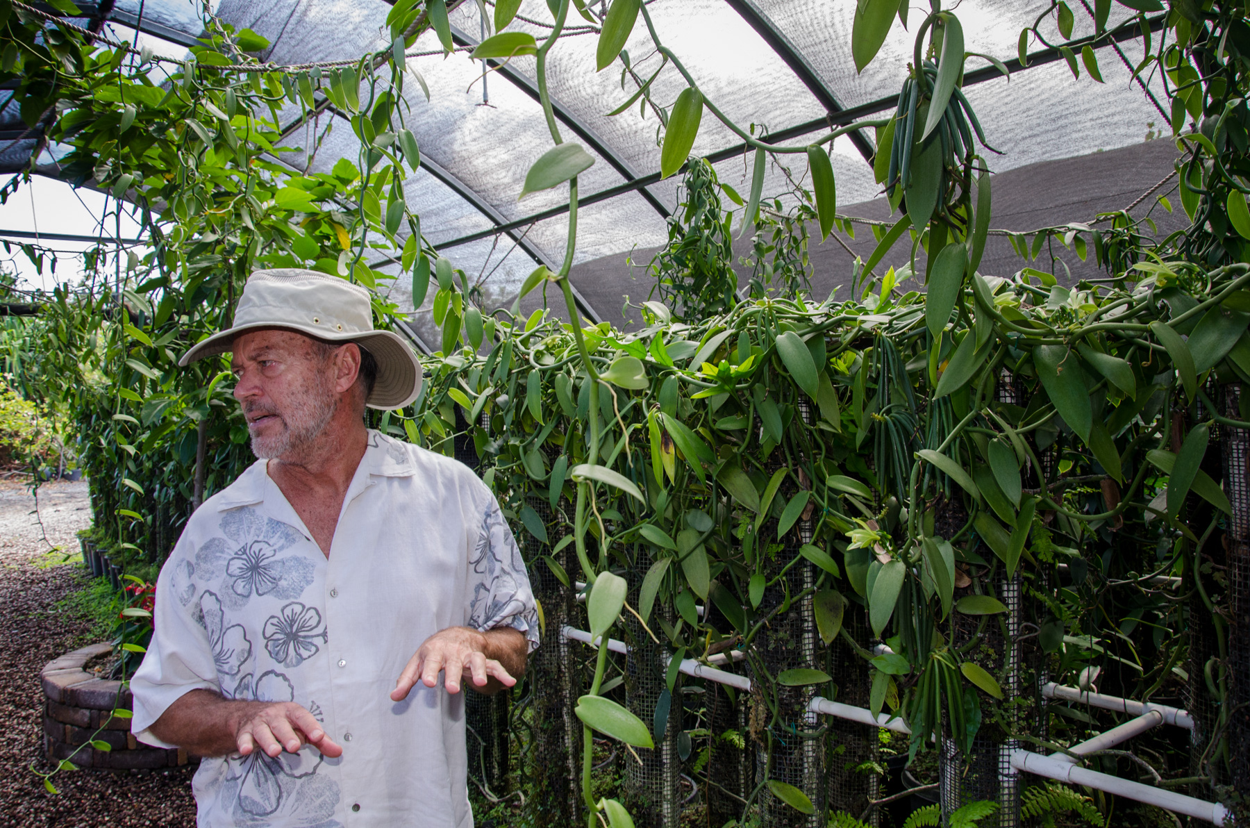 JPG The hawaiian vanilla company offers a refreshing tour and lunch on their farm, all about vanilla. About The Vanillerie The Vanillerie