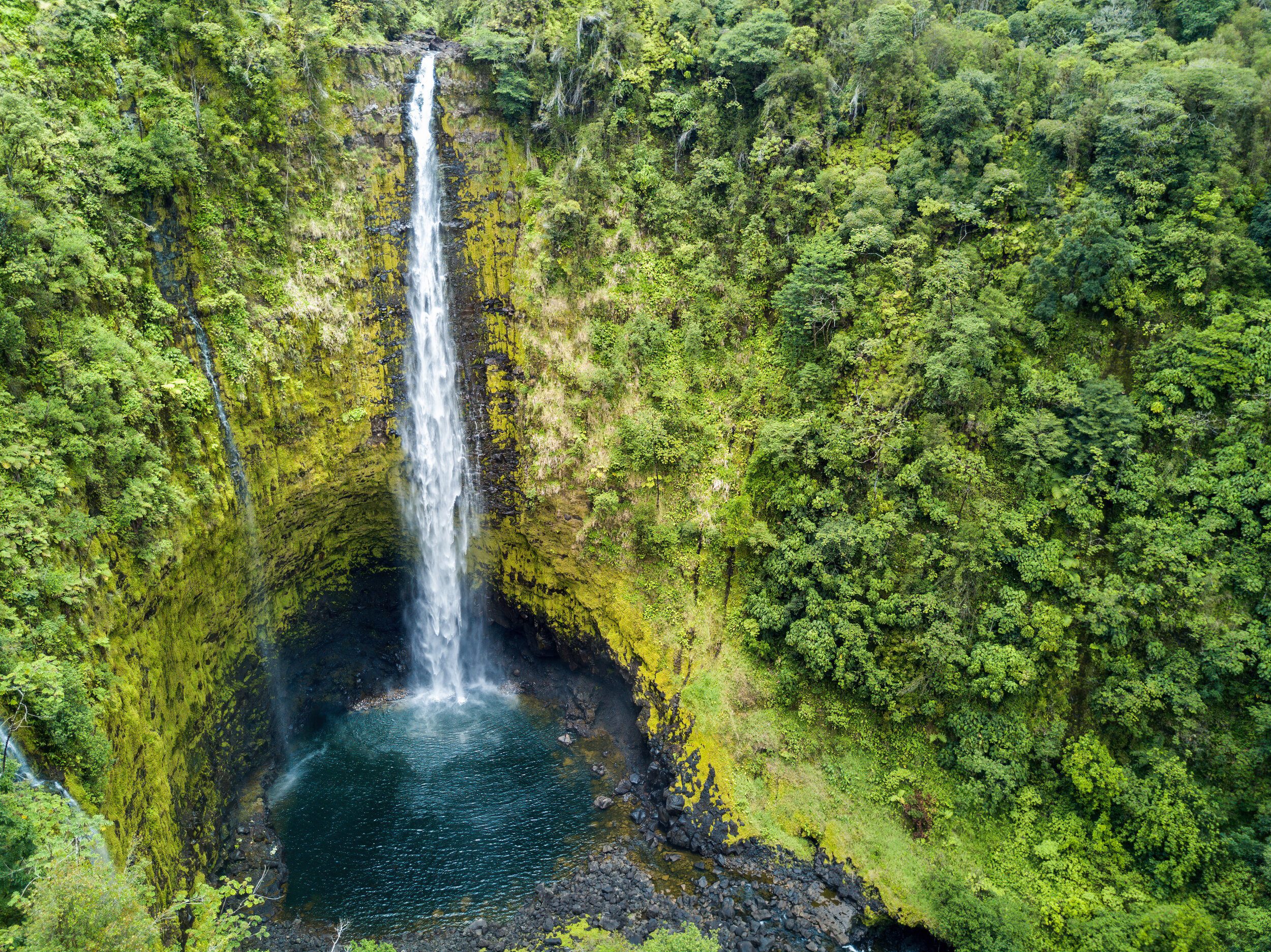 You return to the kona or kohala coast . Hilo S Rivers And Waterfalls My Hawaii Hostel