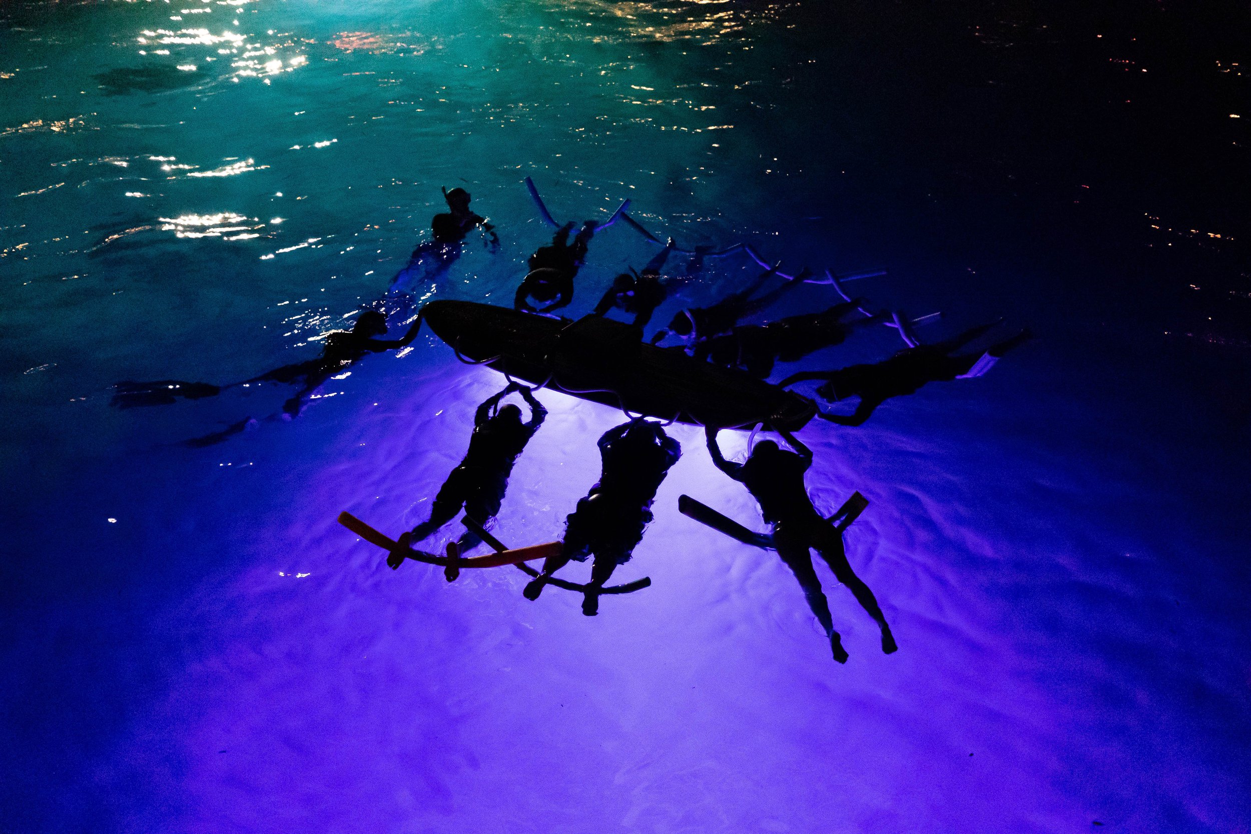 Body glove offers a variety of cruises along the big island of hawaii's kona coast, including dolphin adventures, dinner cruises and whale watching tours. Hawaiian Adventures World Class Kona Whale Watch And Snorkeling Tours