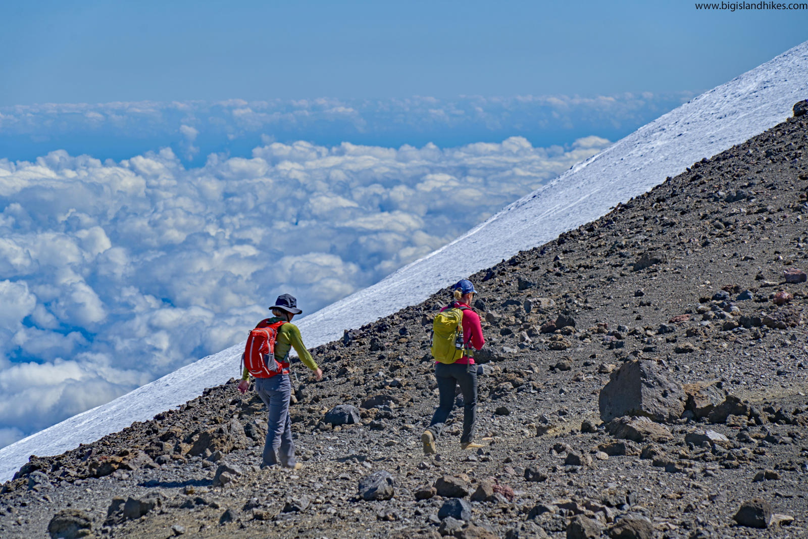 Every year they produce over 2 million pounds of coffee, including the famous 100% kona coffee. Mauna Kea Big Island Hikes