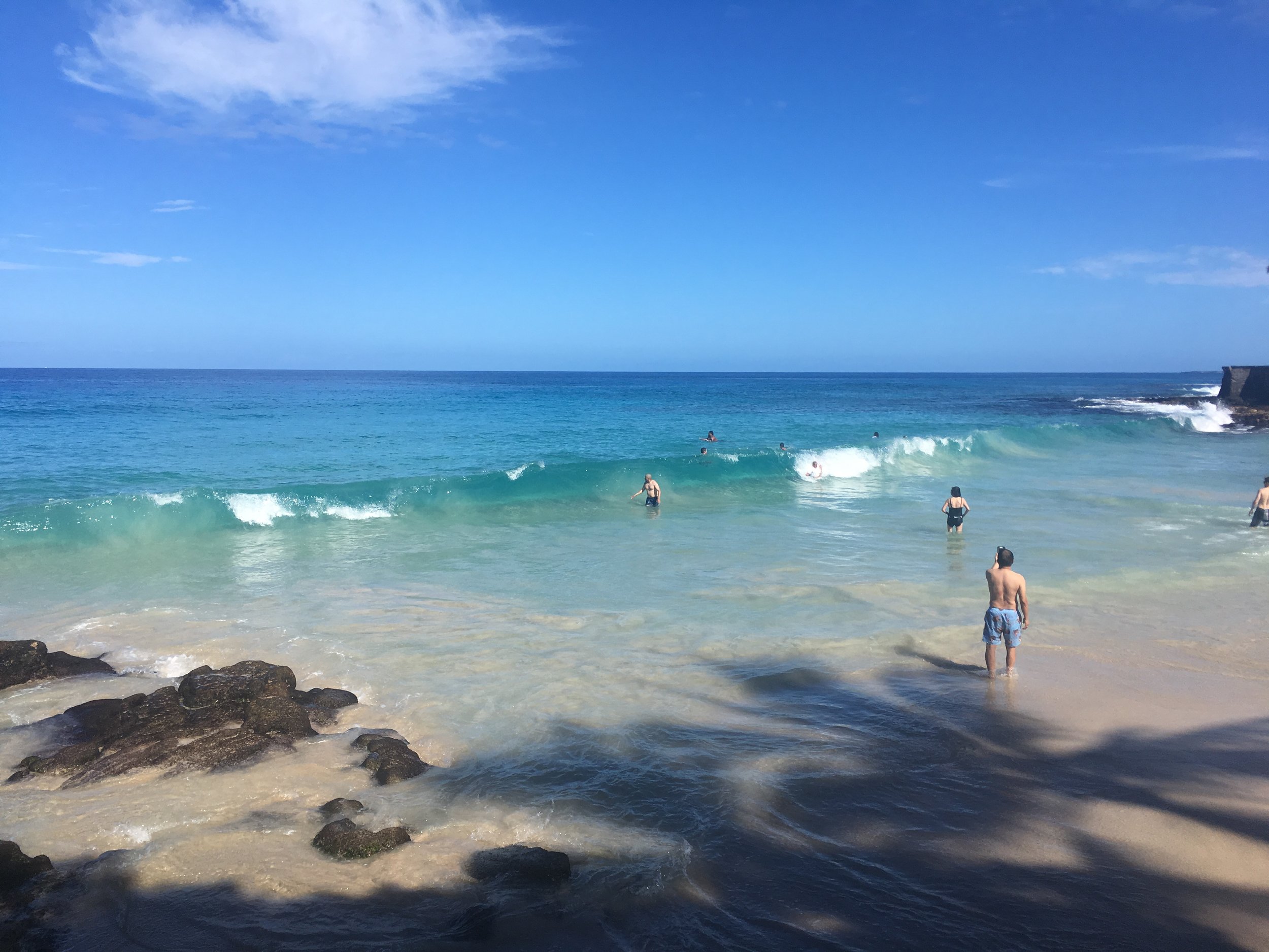 Picture Should you snorkel on one of the 100 beaches by your hotel or condo featuring black, green, . Best Kona Beaches My Hawaii Hostel