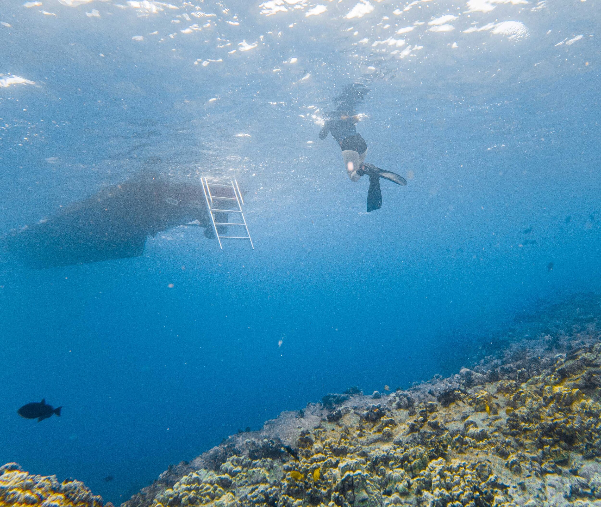 There are many advantages to cruising the hawaiian coast with us on our private charters in kona; Snorkel Tours And Private Charters In Kona Hawaii Hawaiian Adventures