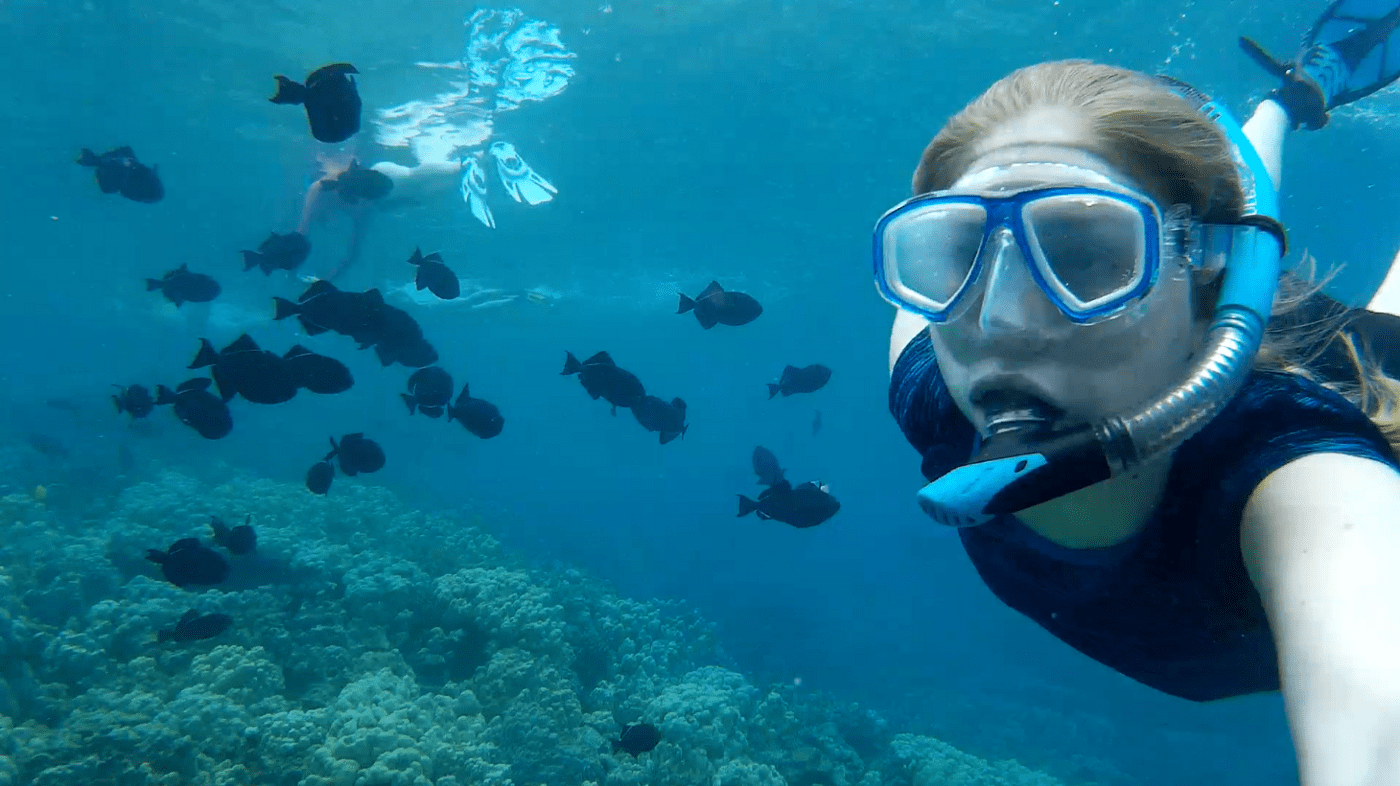 A trip to hawaii isn’t complete without a visit to one of the big island’s many lush state parks and pristine beaches. 3 Of The Best Places For Snorkeling On The Big Island Of Hawaii By Deep Marine Scenes Medium