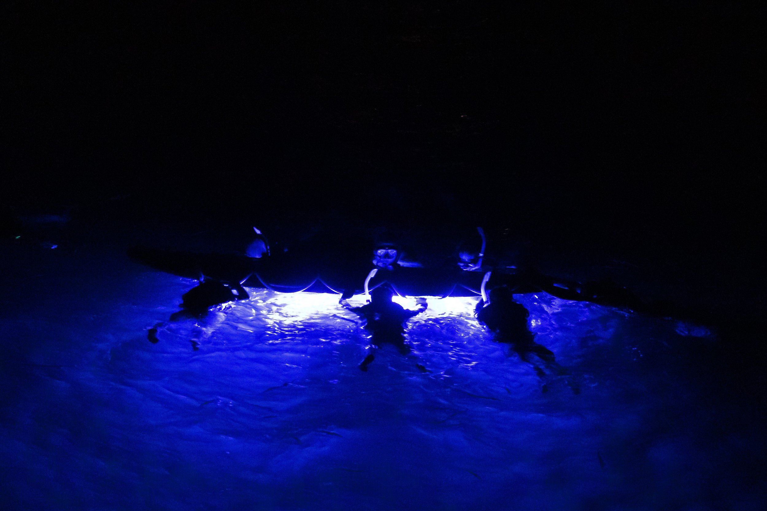 With so much ground to cover, you'll see why it is known as “hawaii's island of adventure.” search island of hawaii attractions and activities . Hawaiian Adventures World Class Kona Whale Watch And Snorkeling Tours