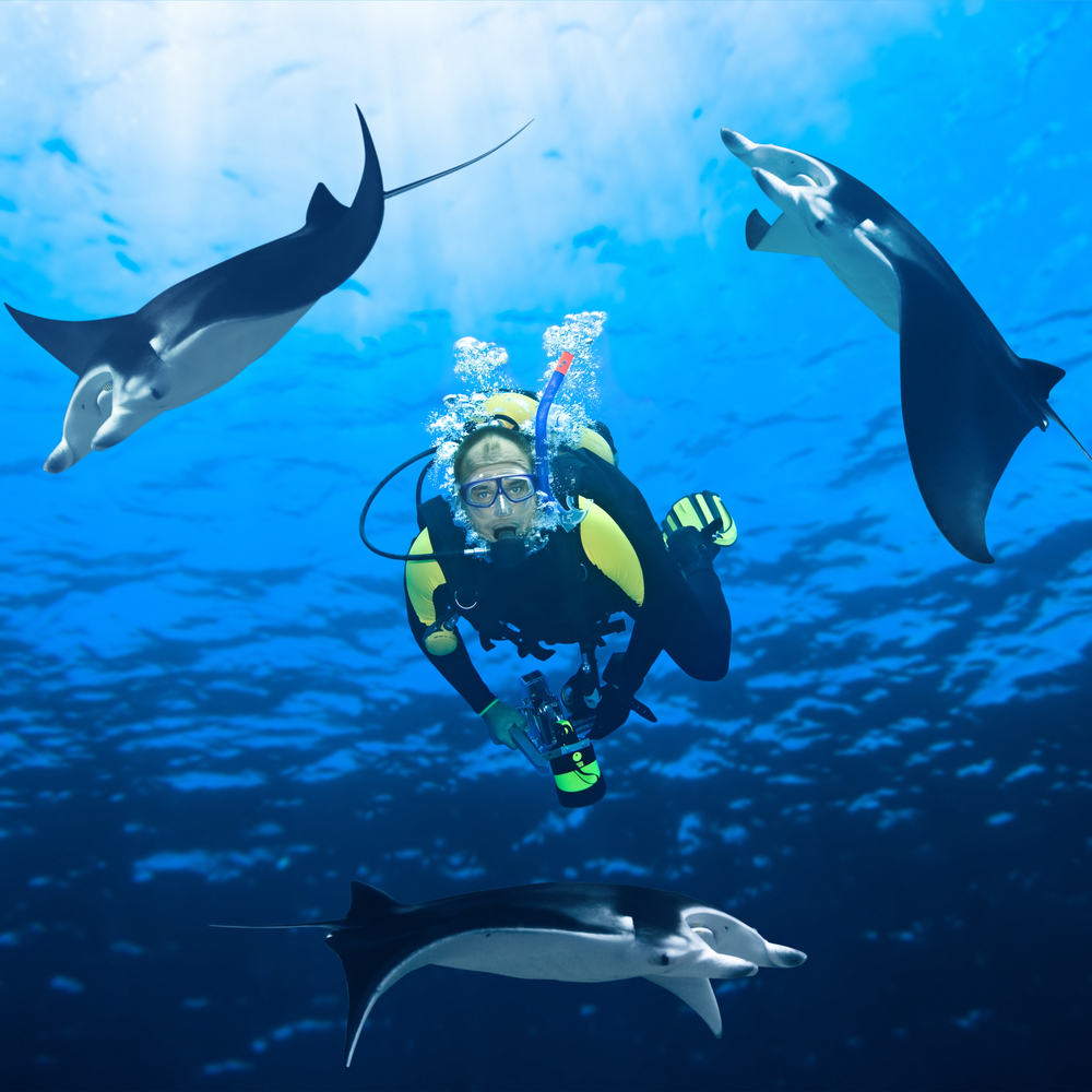 Guided manta ray snorkeling in outrigger canoe. Manta Ray Nights Snorkel Dives Big Island Vacation Services