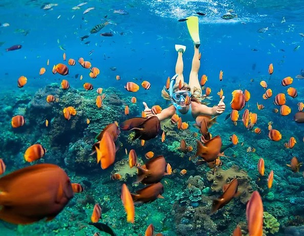 Kealakekua bay, 17 miles south of kona · 1: The Best Kona Snorkel Tours Kona Boat Tours