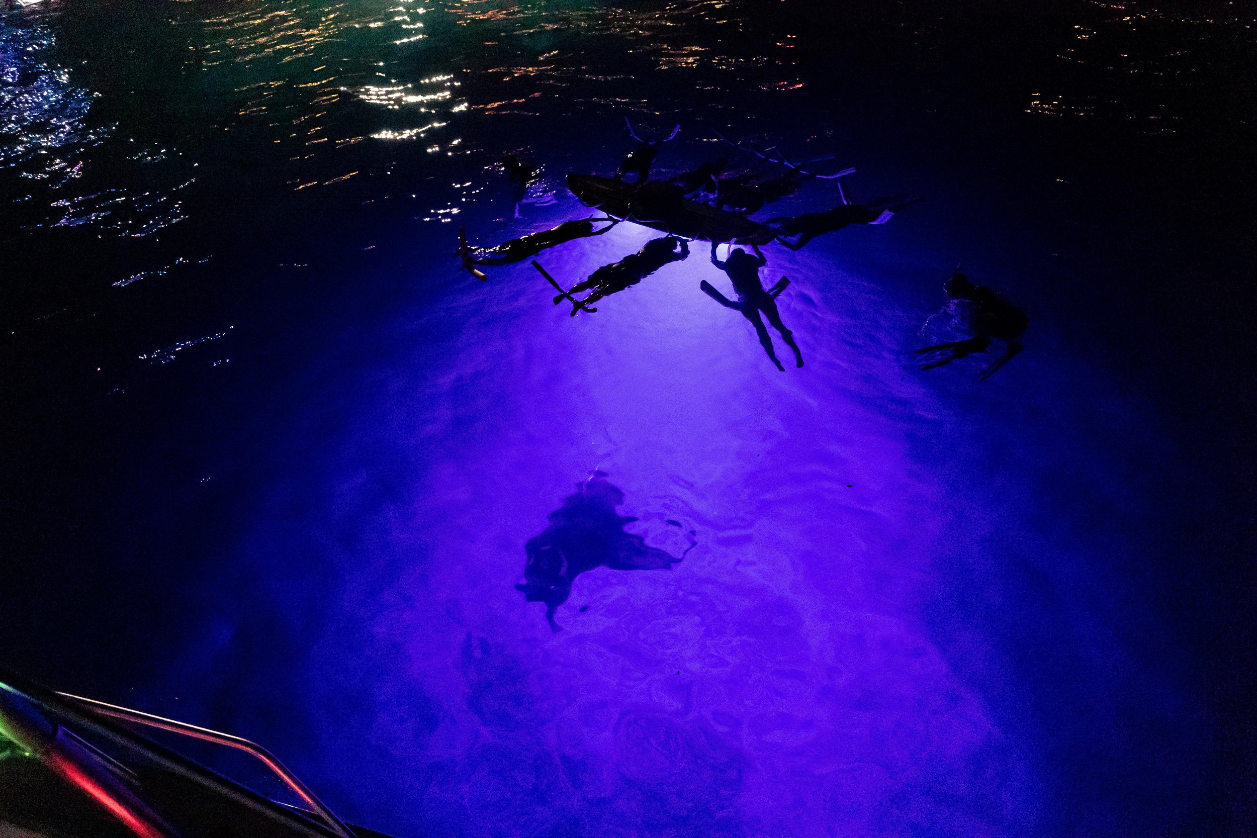 Image A variety of enchanting ghost tours. Hawaiian Adventures World Class Kona Whale Watch And Snorkeling Tours