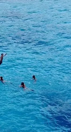 Looking for fun things to do in big island? Our Trip Aloha Kona Tours Kailua Kona