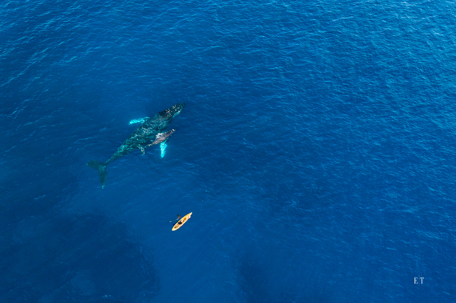 Things to do with kids best beaches top hikes best restaurants nightlife on hawaii island best time to visit weather & clim. Ethan Tweedie Photography Architecture Interiors Hospitality