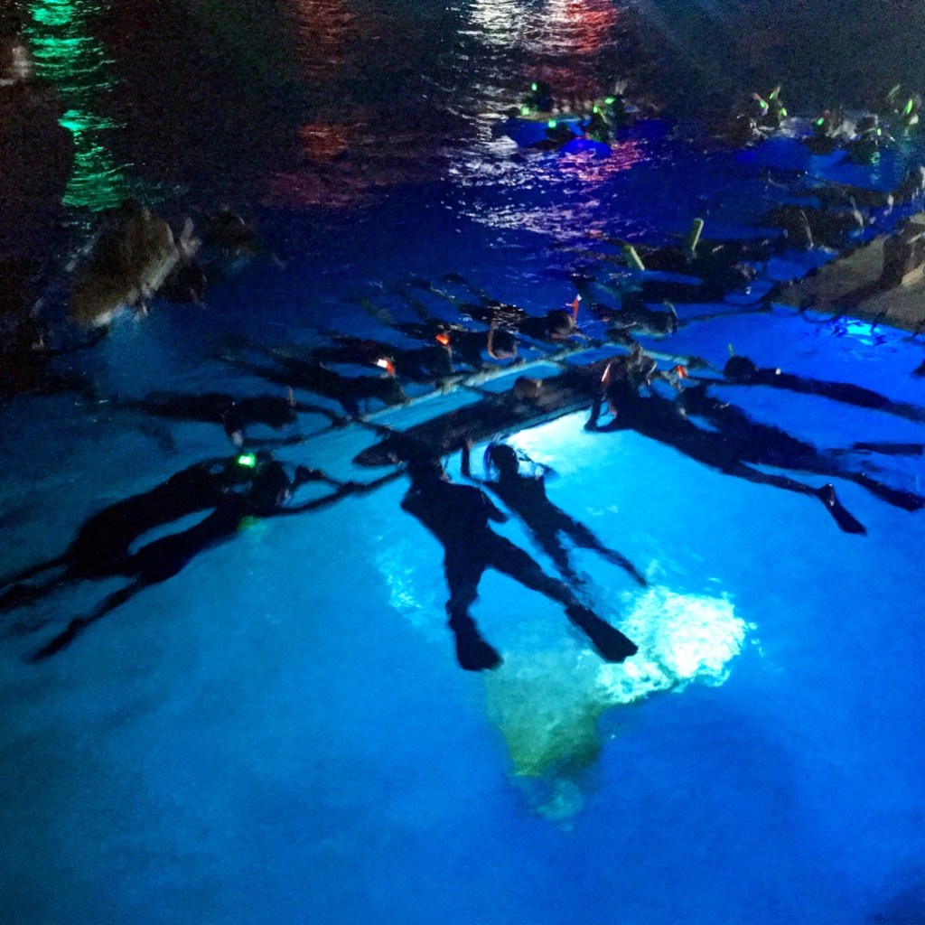 31+ Manta Ray Snorkel Tours Big Island Package