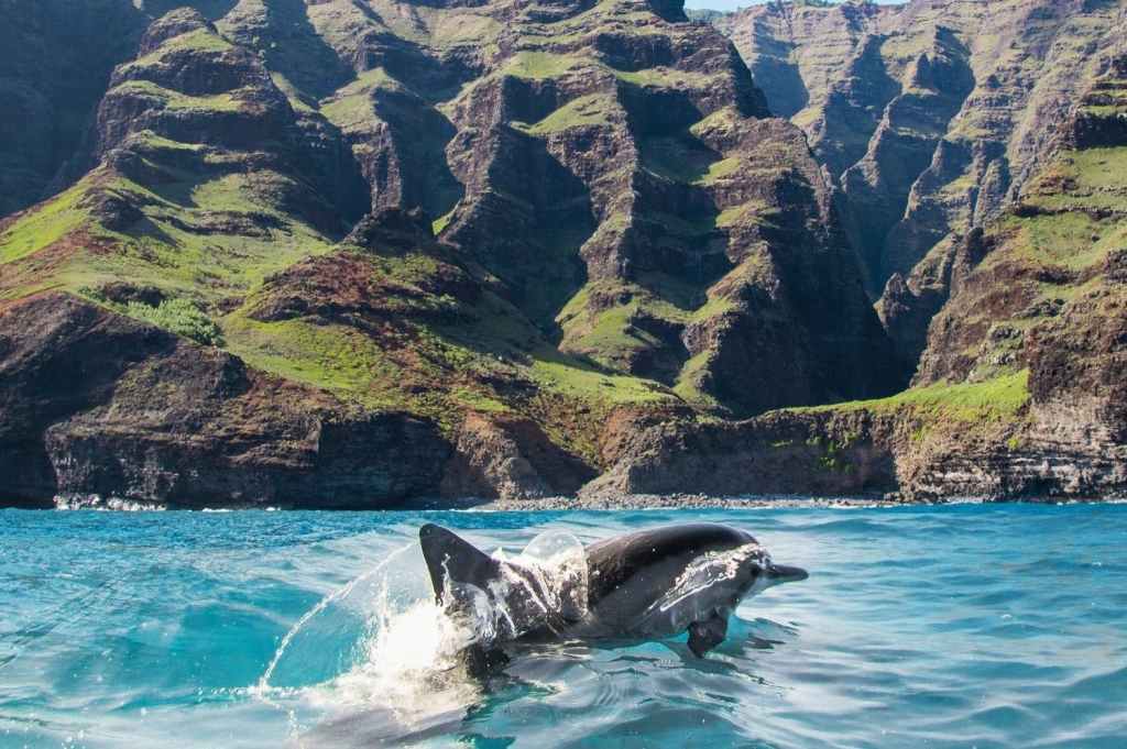 Blue Hawaii Boat Tours&nbsp;Kauai