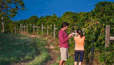 Farm Tours In Kona Hawaii&nbsp;Package
