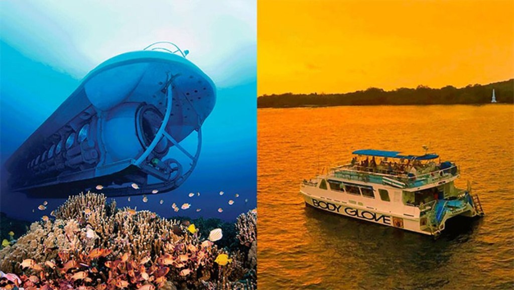 Amazing Sea Quest Snorkel Tours Kona Packages