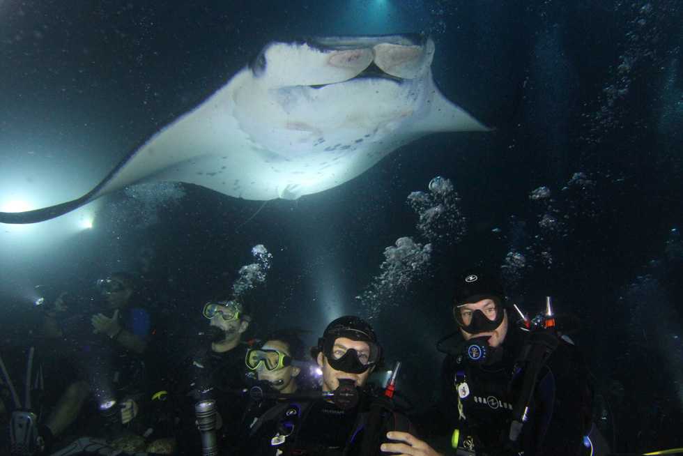 Best Manta Ray Tour Big Island&nbsp;Package