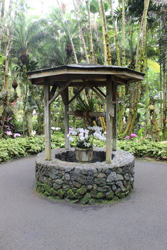 45+ Hilo Botanical Gardens Tours Package