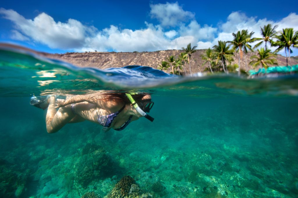 Snorkeling In Big Island Hawaii&nbsp;Packages