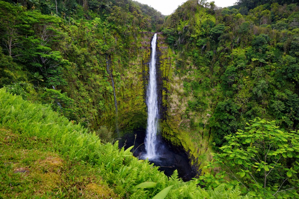 17+ Zipline Big Island Hawaii Akaka Falls Package