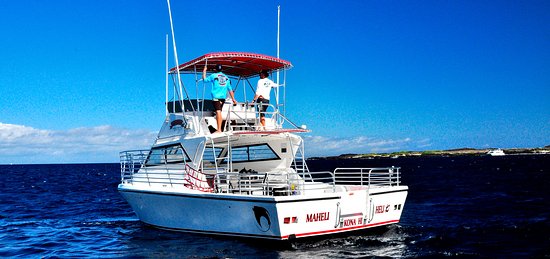 Exploring Trip Advisor Manta Ray Snorkel&nbsp;Kona