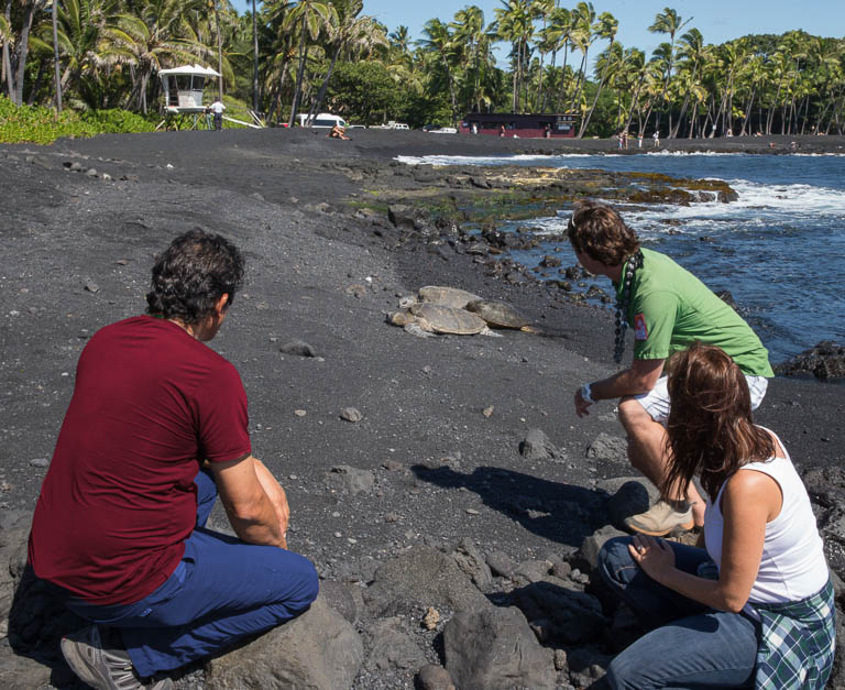 Amazing Travel Agency Kona Hawaii Packages