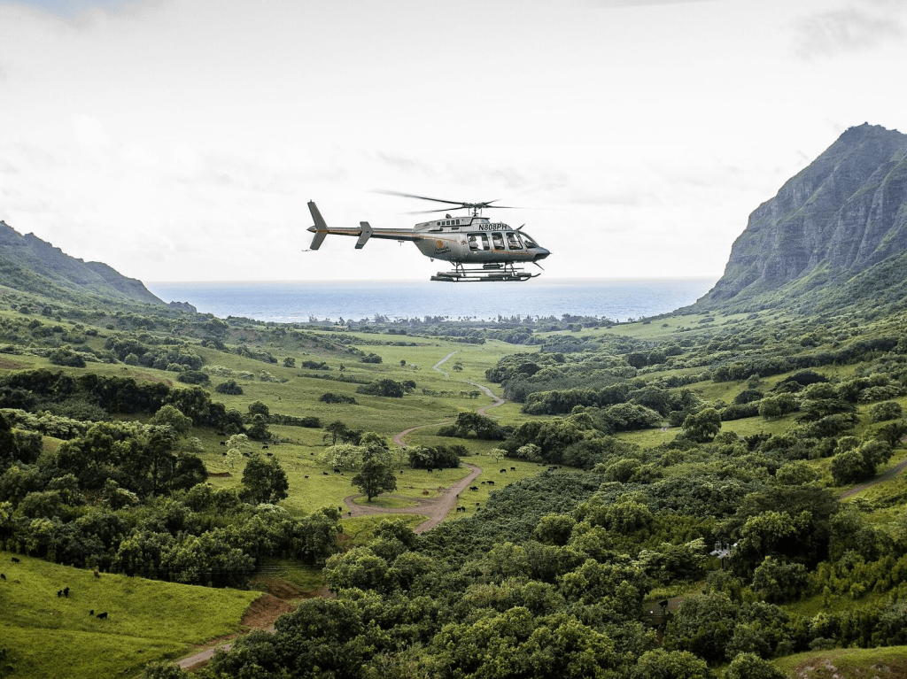 16+ Hawaii Helicopter Tours Safety&nbsp;Packages