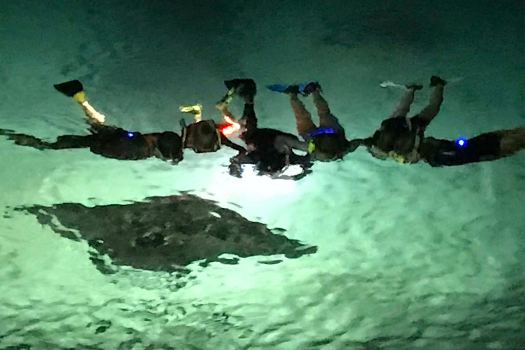 Amazing Manta Ray Snorkel Tours Kona Package