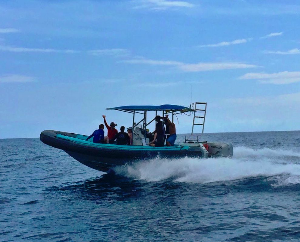 Kona Zodiac Tours