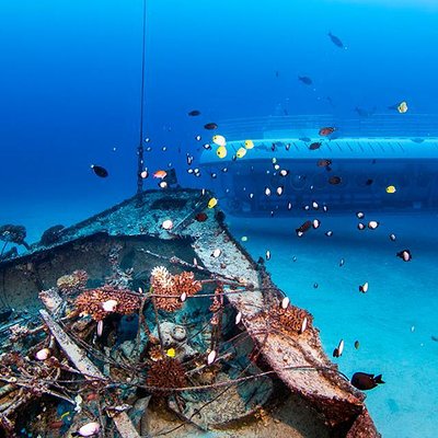 Amazing Submarine Tour In Kona