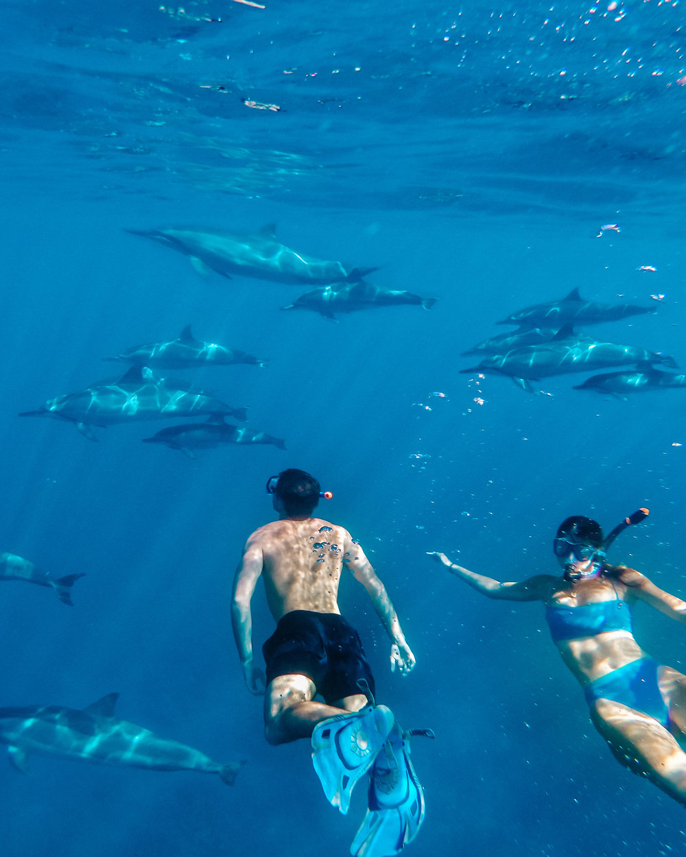 10+ Hawaii Big Island Travel&nbsp;Packages