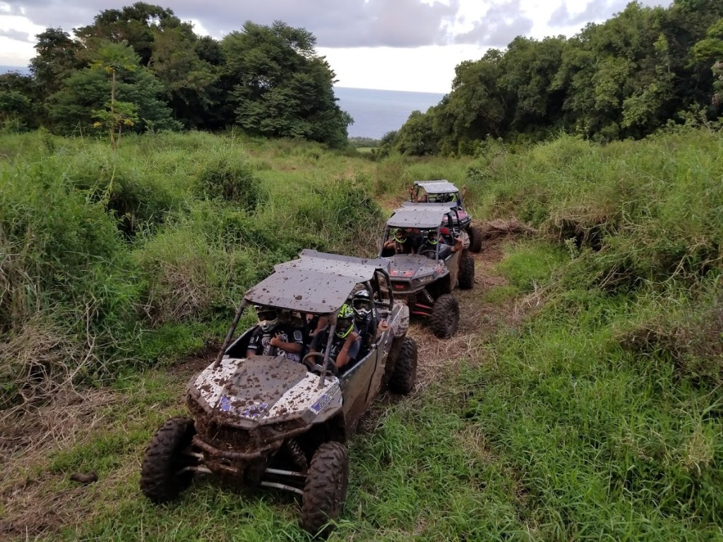 16+ Hawaii Atv Tours Maui