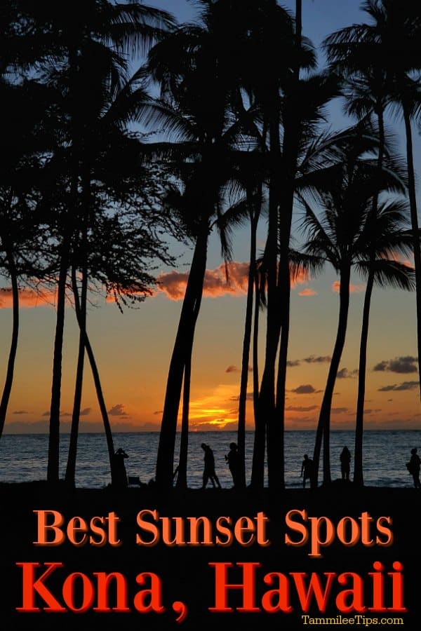 32+ Best Dinner Cruise In Kona&nbsp;Hawaii