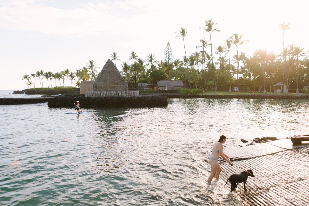 21+ Cheap Travel To Kona