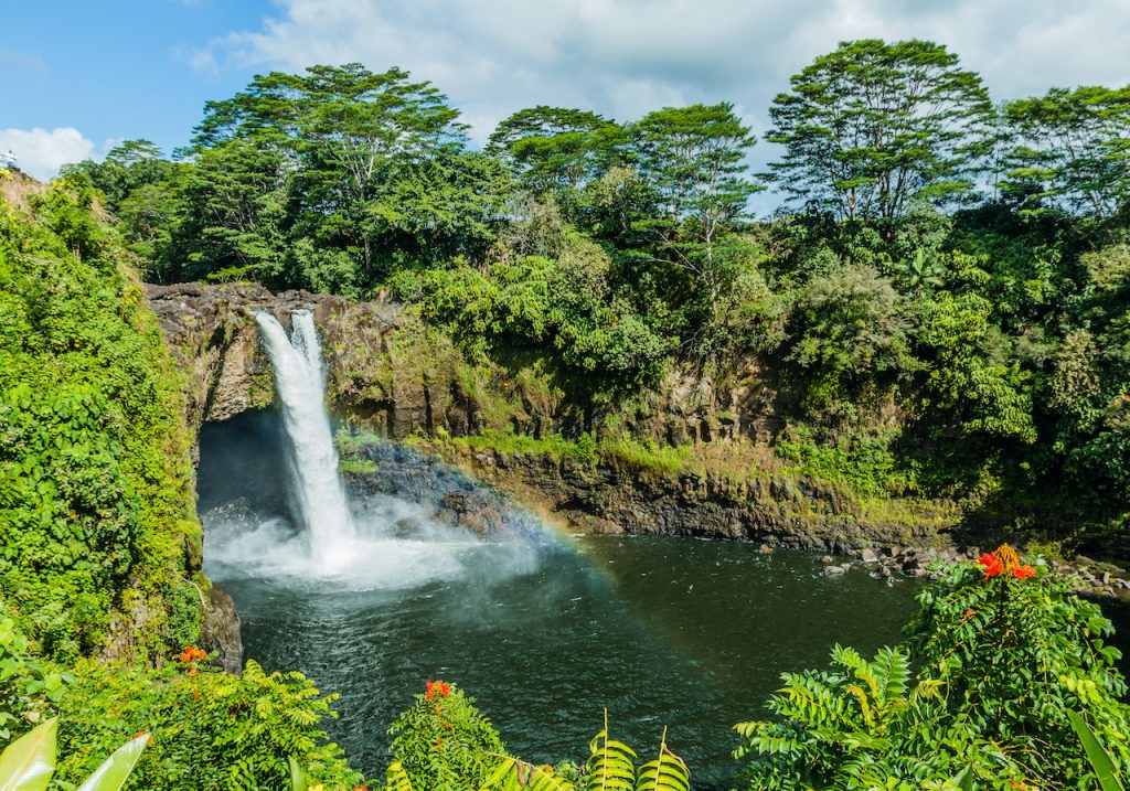 30+ Hilo Zipline Tours&nbsp;Packages