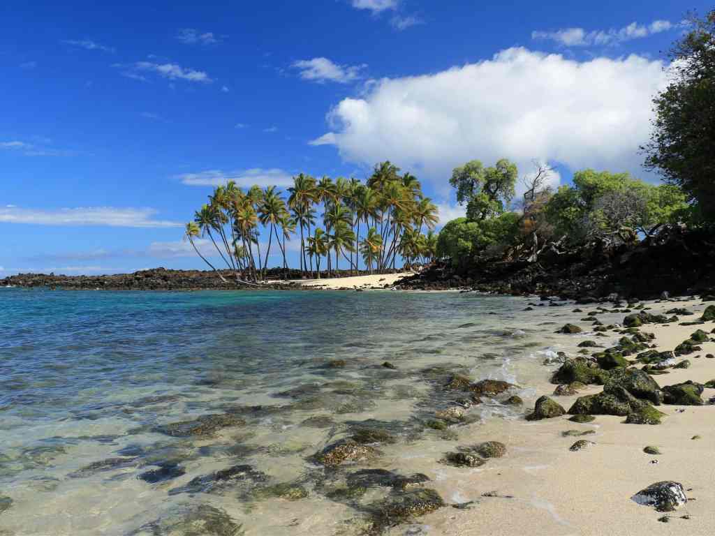 17+ What Not To Miss In Kona Hawaii