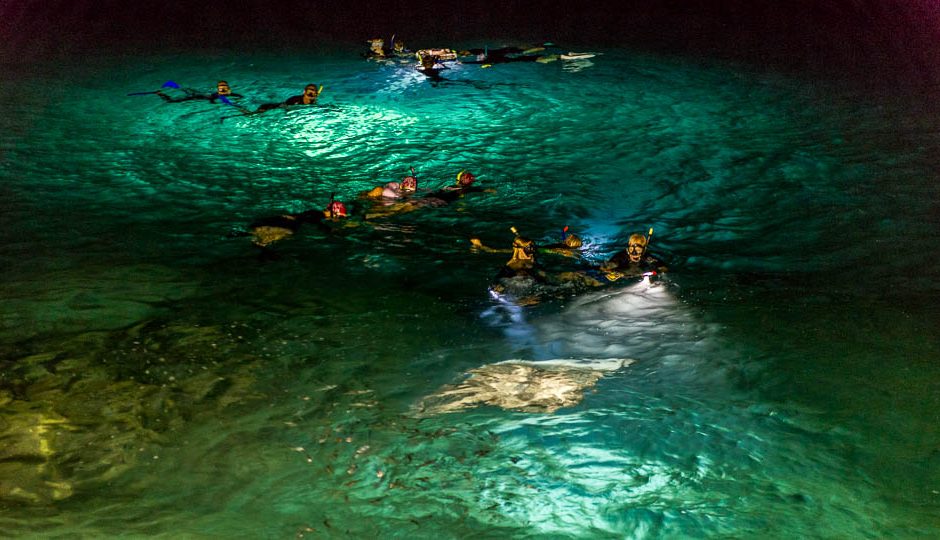 15+ Big Island Manta Ray Night Snorkel Packages
