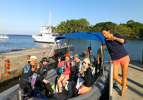 Amazing Kona Dolphin Tours&nbsp;Packages