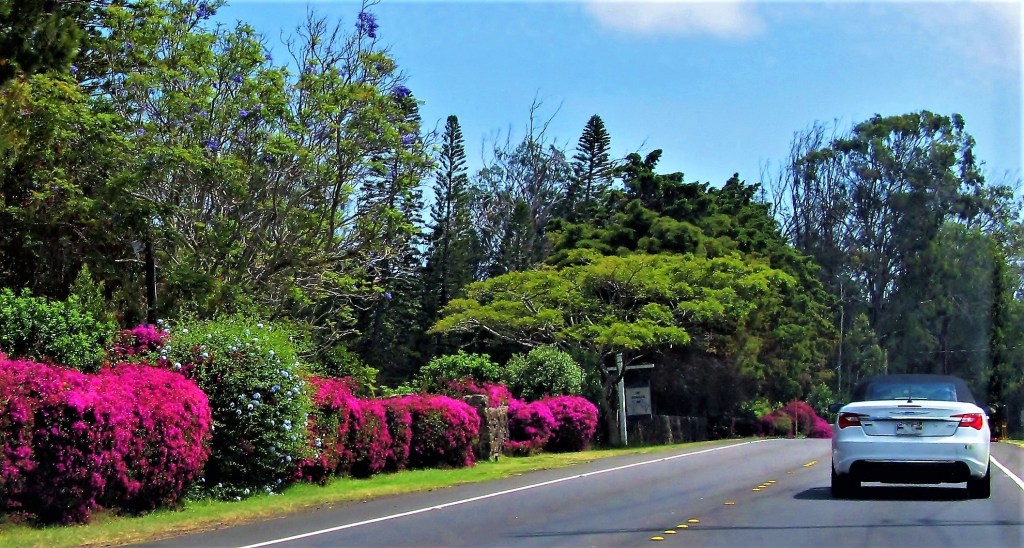 Amazing Hawaii Island Road Trip Packages