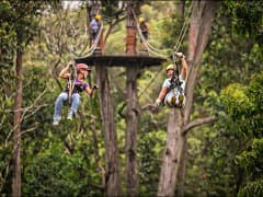 33+ Kona Hawaii Zipline Packages