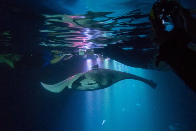 16+ Manta Rays Night Snorkel Kona&nbsp;Package