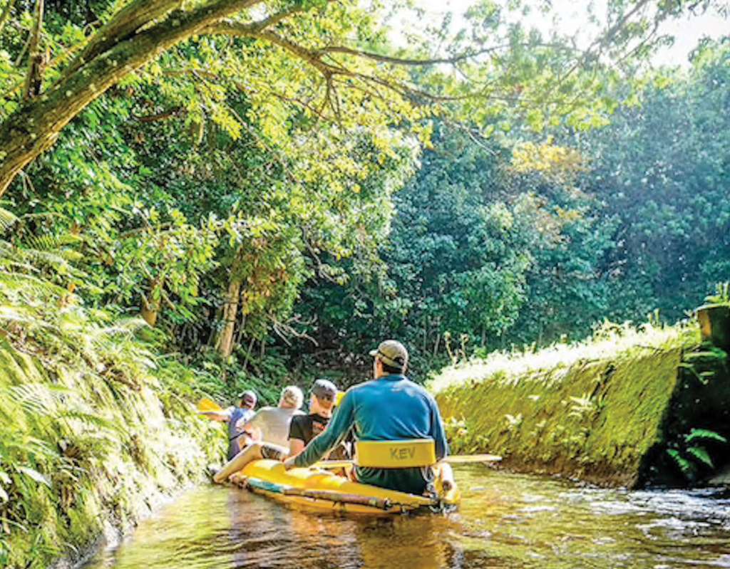 Best Covid Travel To&nbsp;Kona