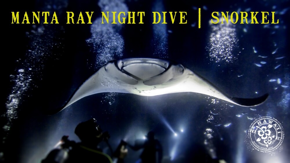 Amazing Manta Night Snorkel&nbsp;Kona