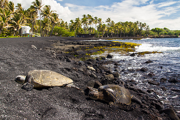 Exploring Big Island Shaka Guide&nbsp;Packages