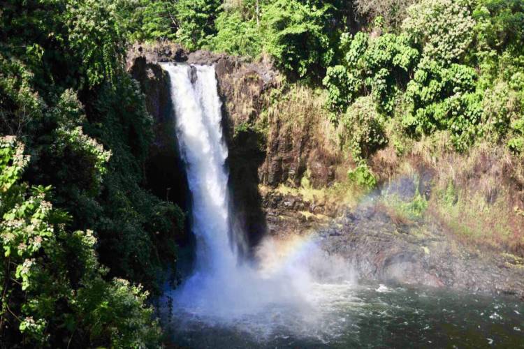 35+ Wasabi Tours Hawaii&nbsp;Kailua-Kona