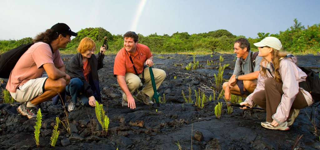 39+ Volcano Tours In Kona Hawaii&nbsp;Packages