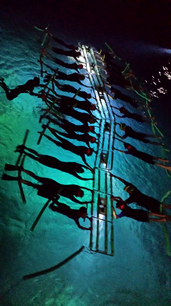 31+ Manta Ray Snorkel In&nbsp;Kona