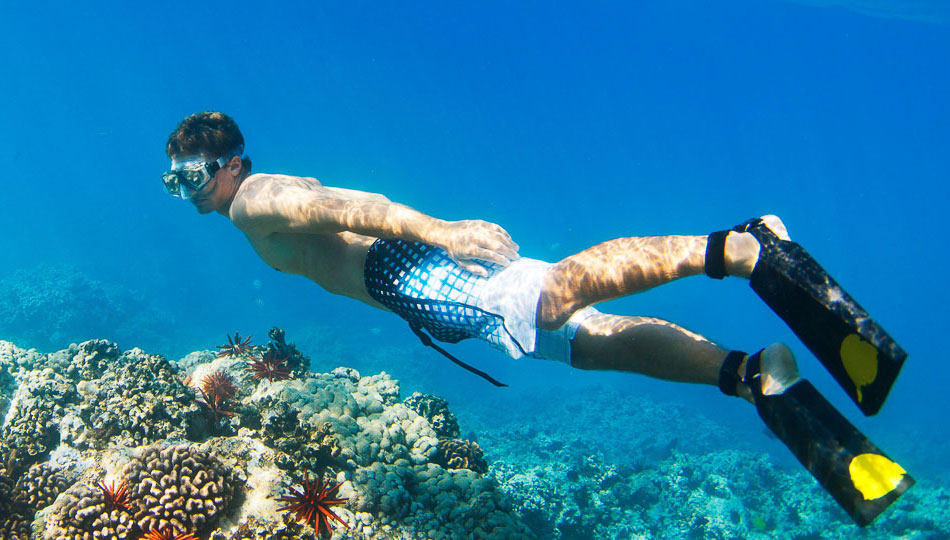 44+ Kona Snorkeling&nbsp;Packages